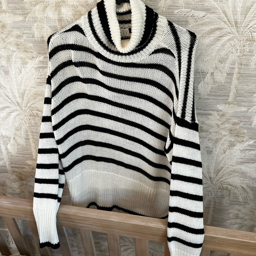 Black and White Striped Turtleneck Sweater from RDI